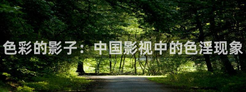 第七影院网：色彩的影子：中国影视中的色淫现象