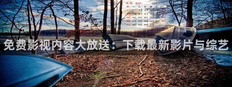 第七影院手机版：免费影视内容大放送：下载最新影片与综艺