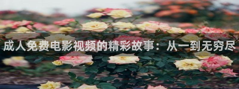 第七影院第六影院：成人免费电影视频的精彩故事：从一到无穷尽
