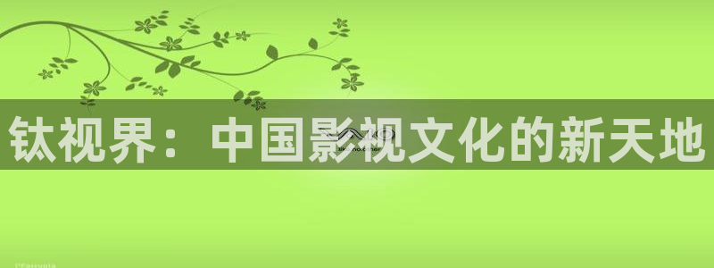 中餐厅第七季星辰影院：钛视界：中国影视文化的新天地