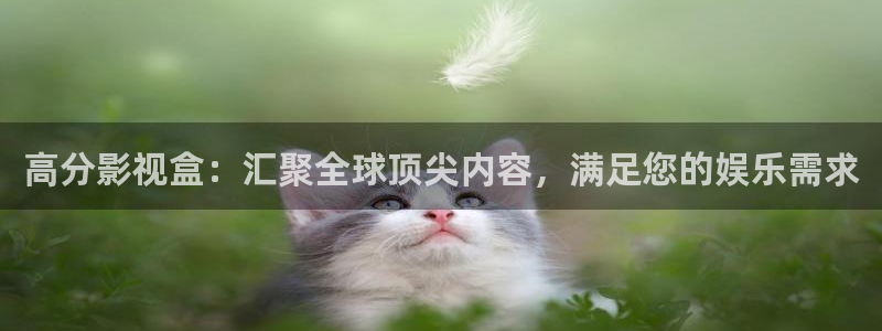 第七影院：高分影视盒：汇聚全球顶尖内容，满足您的娱乐需求