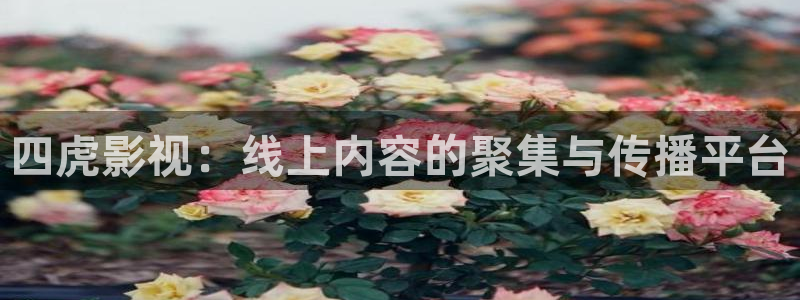 第七影院最新电视剧在线观看：四虎影视：线上内容的聚集与传播平台