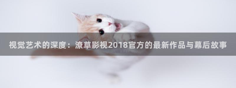 神马影院第七：视觉艺术的深度：潦草影视2018官方的最新作品与幕后故事