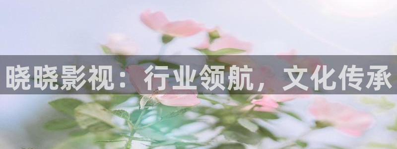 米奇影视第七色：晓晓影视：行业领航，文化传承